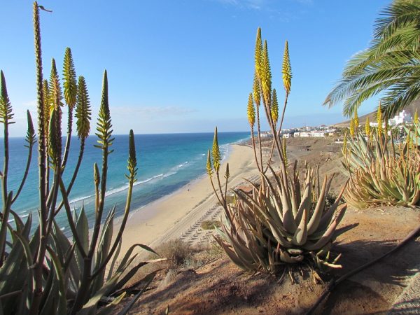 Fuerteventura