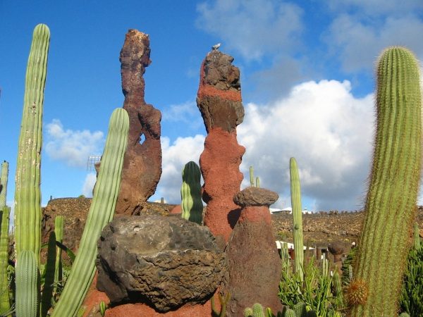 Lanzarote