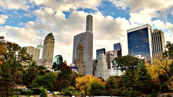 FOLIAGE A New York